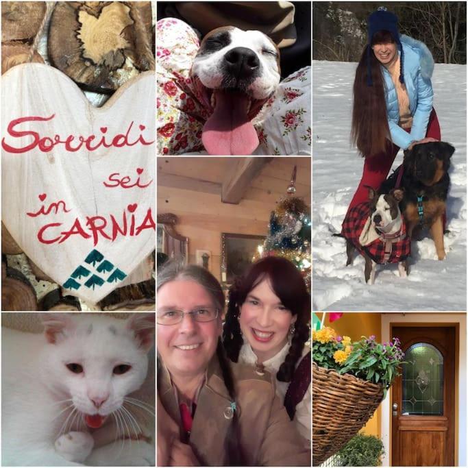 Holiday Guesthouse La Casina Di Butzi Pet Friendly - Terme Di Arta - Zoncolan أرتا تيرمي المظهر الخارجي الصورة