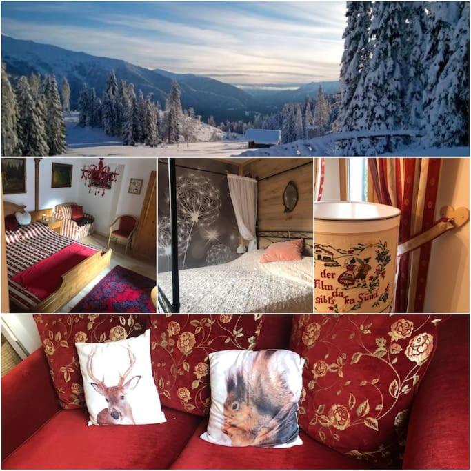 Holiday Guesthouse La Casina Di Butzi Pet Friendly - Terme Di Arta - Zoncolan أرتا تيرمي المظهر الخارجي الصورة