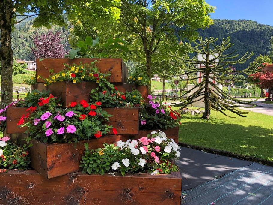 Holiday Guesthouse La Casina Di Butzi Pet Friendly - Terme Di Arta - Zoncolan أرتا تيرمي المظهر الخارجي الصورة