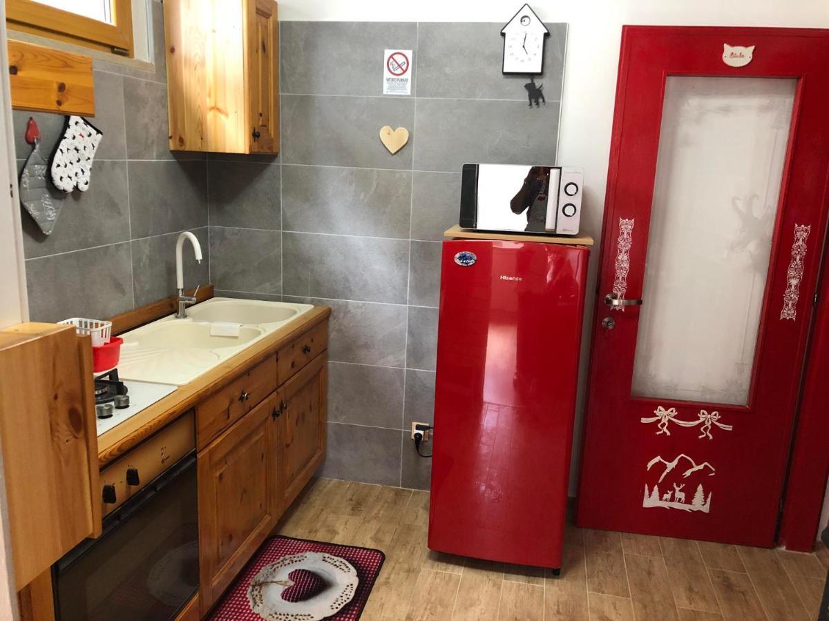 Holiday Guesthouse La Casina Di Butzi Pet Friendly - Terme Di Arta - Zoncolan أرتا تيرمي المظهر الخارجي الصورة