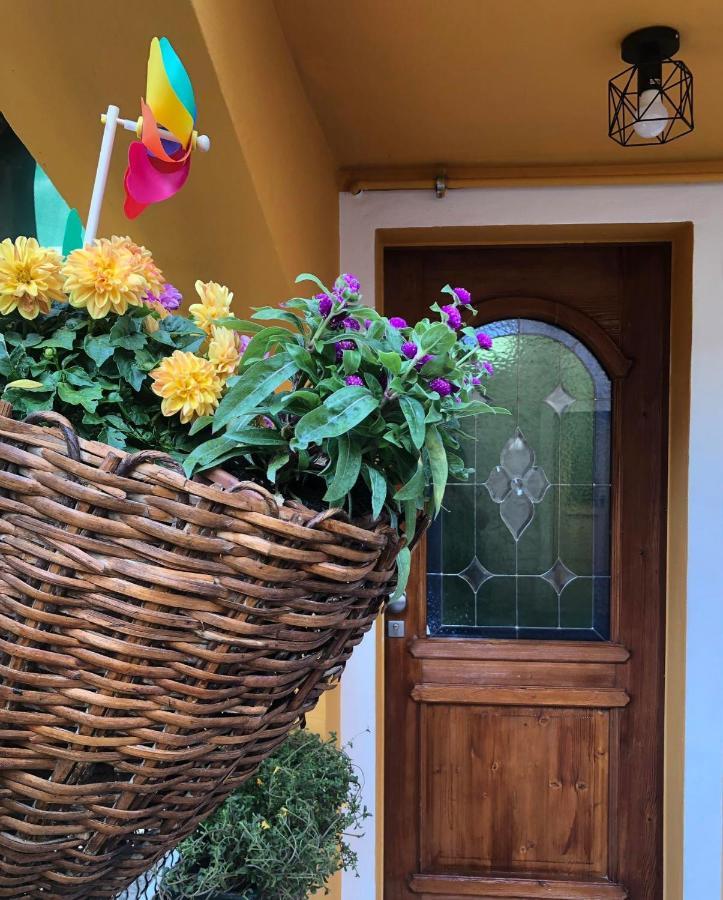 Holiday Guesthouse La Casina Di Butzi Pet Friendly - Terme Di Arta - Zoncolan أرتا تيرمي المظهر الخارجي الصورة