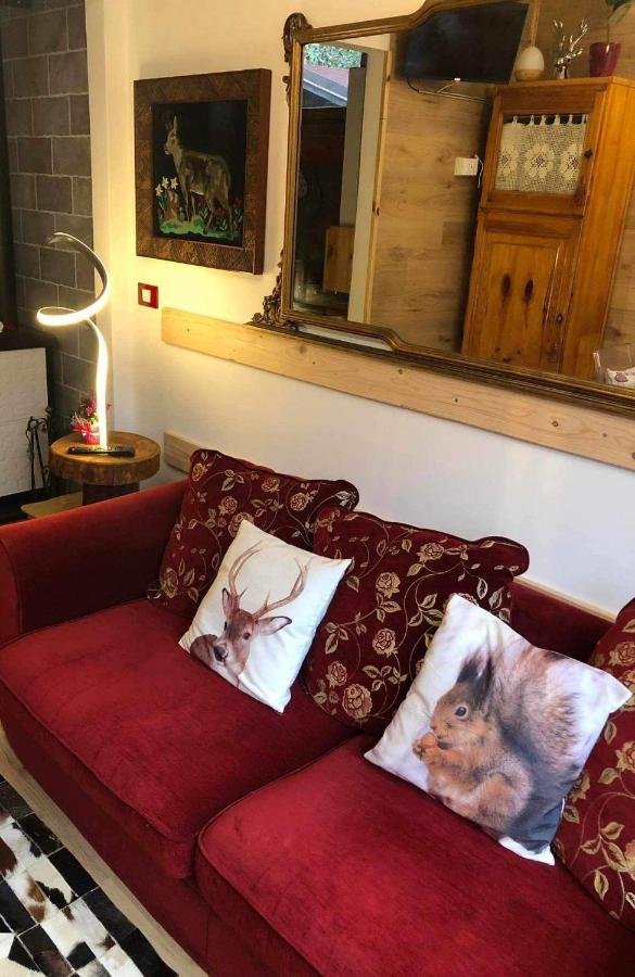 Holiday Guesthouse La Casina Di Butzi Pet Friendly - Terme Di Arta - Zoncolan أرتا تيرمي المظهر الخارجي الصورة