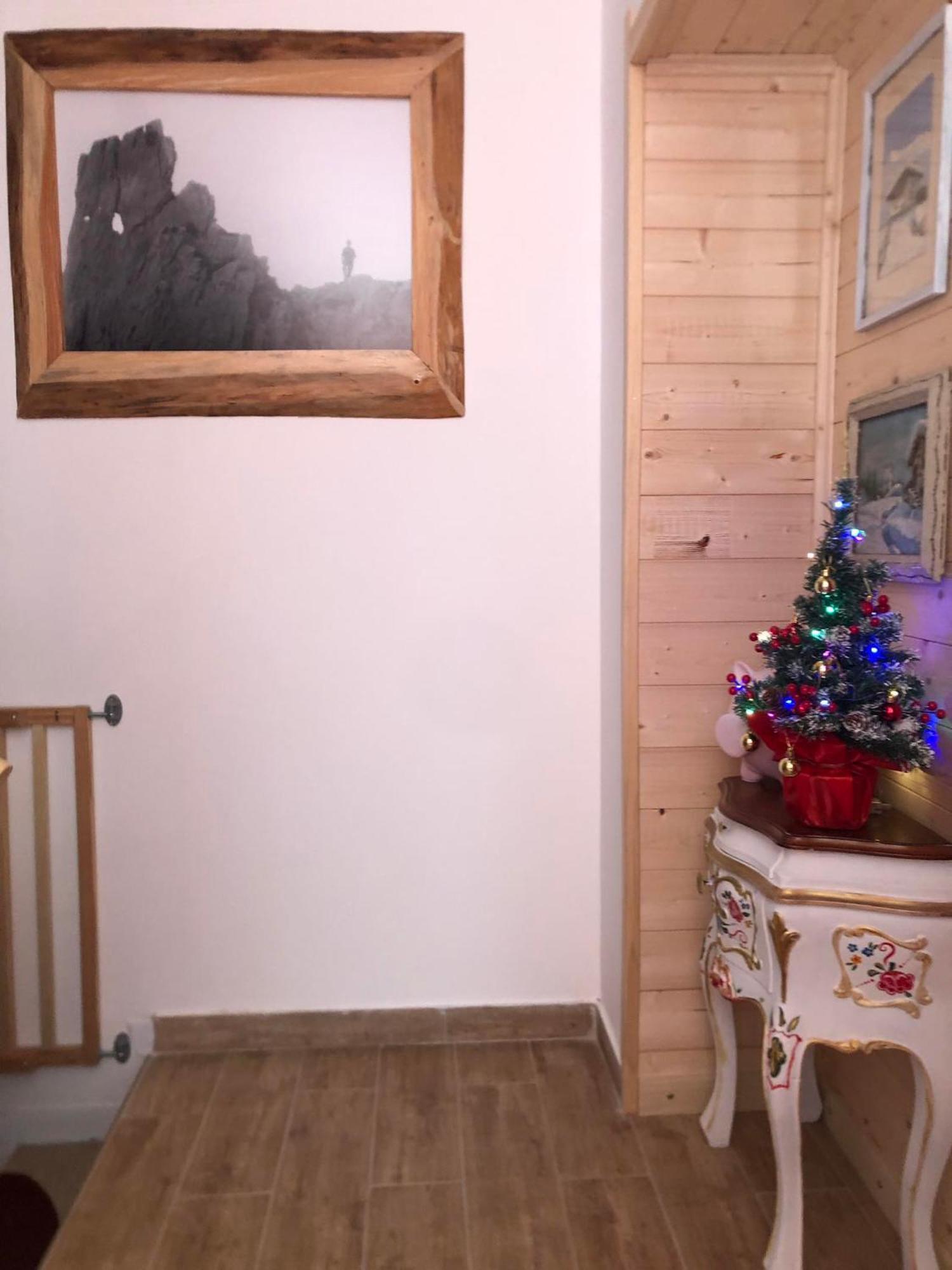 Holiday Guesthouse La Casina Di Butzi Pet Friendly - Terme Di Arta - Zoncolan أرتا تيرمي المظهر الخارجي الصورة