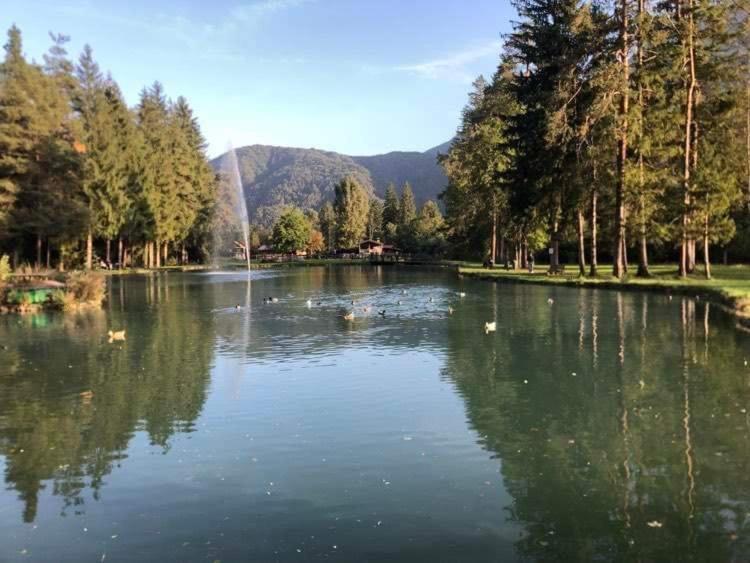 Holiday Guesthouse La Casina Di Butzi Pet Friendly - Terme Di Arta - Zoncolan أرتا تيرمي المظهر الخارجي الصورة